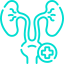 Best Urology Hospital in Jaipur